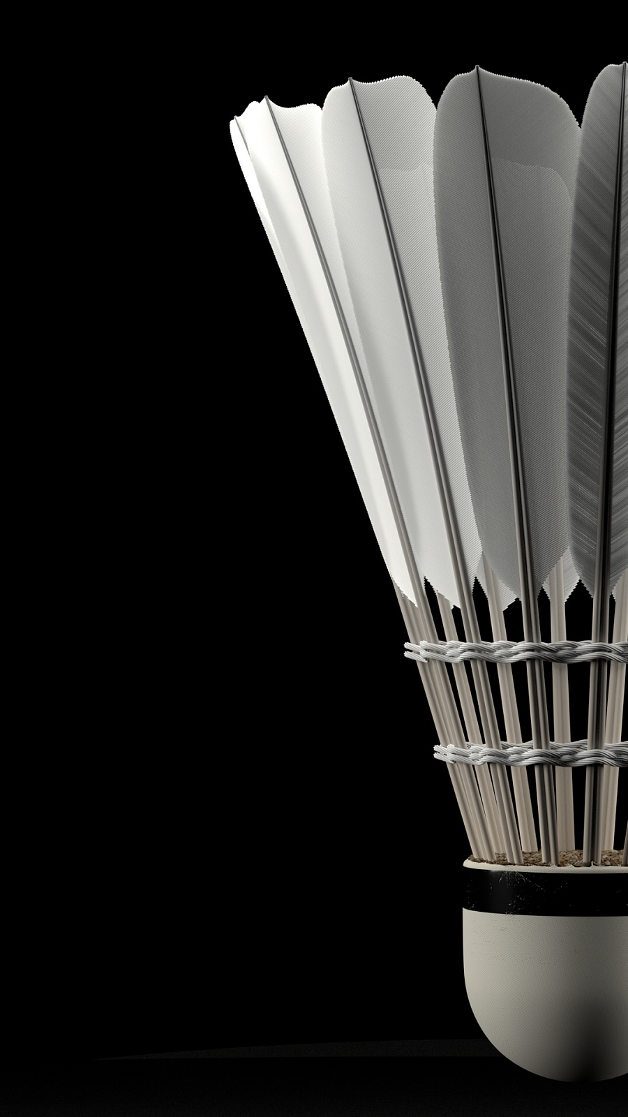 体育中超：迎“南”而上 泰山队今晚迎战河南队